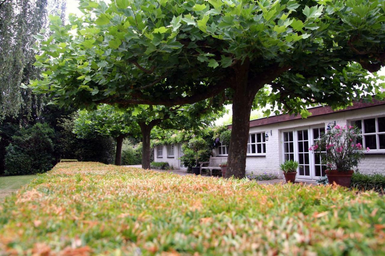 كورترايك Villa Pura Vida المظهر الخارجي الصورة